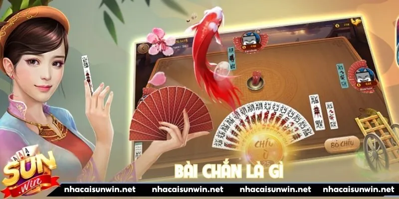 bài Chắn là gì