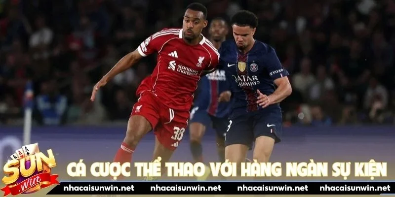 Cá cược thể thao với hàng ngàn sự kiện mỗi ngày
