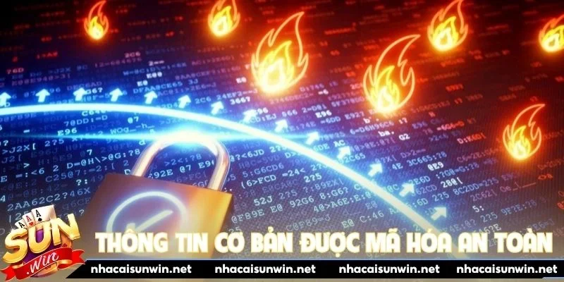 Các thông tin cơ bản được thu thập và mã hóa an toàn