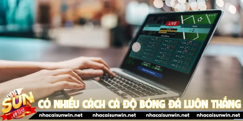 Có nhiều cách cá độ bóng đá luôn thắng