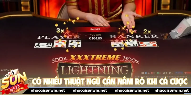 Có nhiều thuật ngữ cần nắm rõ khi cá cược