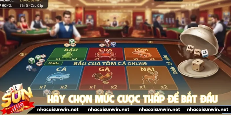 Hãy chọn mức cược thấp để bắt đầu