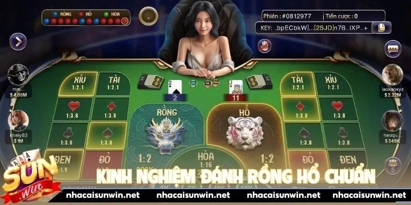 Kinh nghiệm đánh rồng hổ chuẩn