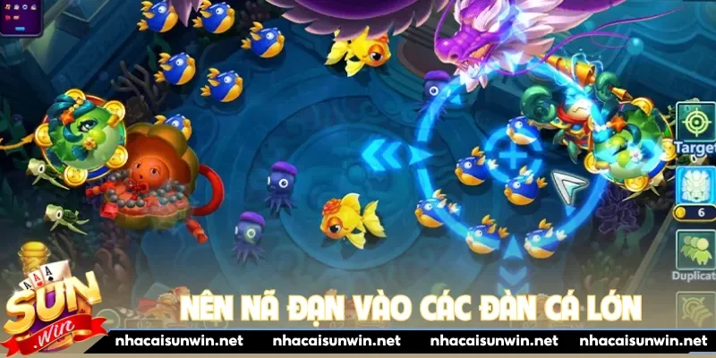 Nên nã đạn vào các đàn cá lớn